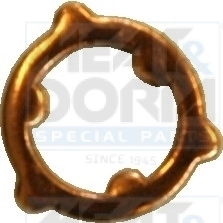 Seal Ring, nozzle holder